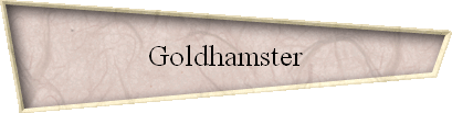 Goldhamster